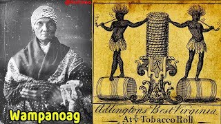 Pt 20  From Indigenous American to African American  First quotnegroquot slaves Indians in 1526 [upl. by Aissert]