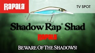 Beware of the Shadows Rapala® Shadow Rap® Shad [upl. by Dud280]