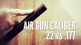 Which pellet should I choose 22 versus 177  Gamo Air Guns [upl. by Levan]