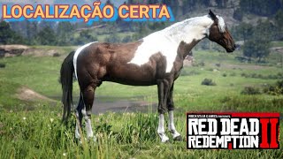 RED DEAD REDEMPTION II LOCALIZAÇÃO PAINT HORSE AMERICANO TOBIANO [upl. by Wyck]