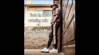 Gombs Tech In the evening mix 12Deep Tech MixRising Sun Sessions 2024 [upl. by Lesde]