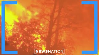 California fire crews struggle to control historic wildfire  NewsNation Live [upl. by Shaw]