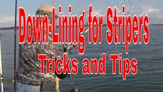 Downlining for Strippers How to catch Stripers Downlining  How to Catch Stripers [upl. by Gerry715]