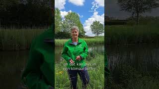 Klimaatbuffer IJsselmonde waterkwaliteit waternatuurlijk [upl. by Macario]