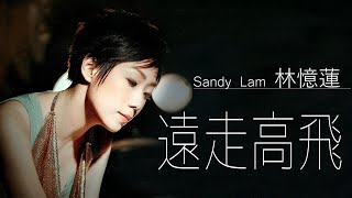 Sandy Lam 林憶蓮  遠走高飛 Yuan Zou Gao Fei 【字幕歌词】Chinese Pinyin Lyrics I 2000年《2001蓮》專輯。 [upl. by Jobina261]