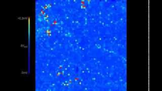 Recording of spontaneous activity from dystrophic mouse retina [upl. by Omar]