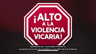 Aprobamos reformas para terminar con la violencia vicaria [upl. by Eanehs]