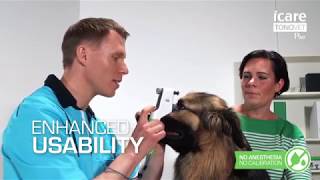 iCare TONOVET Plus tonometer  New level of veterinary IOP measuring [upl. by Sidoon]