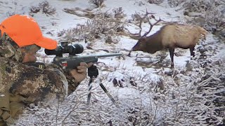 Big Bulls on Public Land  Rifle Elk Hunting Eastmans Hunting Journals [upl. by Ecidna]