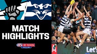 Port Adelaide v Geelong Highlights  Round 14 2019  AFL [upl. by Elok]