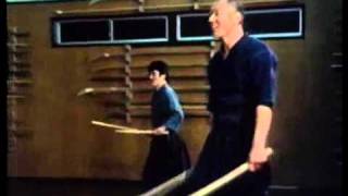 Two Swords Technique  Tenshinshoden Katori Shinto ryu [upl. by Eicnahc]