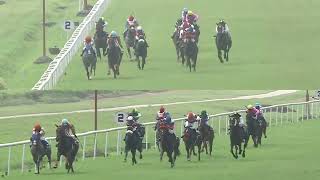 THE GREY GERANIUM with A R Pradeep up wins The Royal Calcutta Turf Club Trophy Div2 2024 RACE 97 [upl. by Caressa]