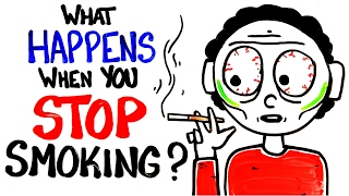 What Happens When You Stop Smoking [upl. by Madox]