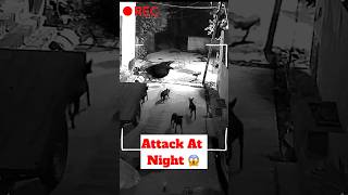 Attack At Night 😱  Rabies Infection ​minivlog [upl. by Acilegna61]