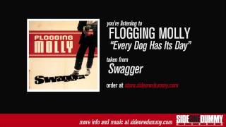 Flogging Molly  Every Dog Has Its Day Official Audio [upl. by Sehcaep]