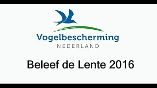 Vogelbescherming presenteert Beleef de Lente 2016 [upl. by Ellerd]