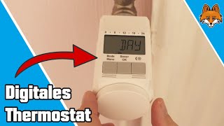 Digitales Thermostat anschließen und einstellen  Heizkosten sparen 🔥 [upl. by Haceber]