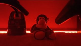 ASMR❤Vaccum Cleaner And Hair Dryer❤With Monkey Sniper🤎😴3H [upl. by Zins57]