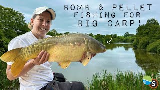 Bomb amp Pellet Fishing for BIG carp [upl. by Hallimaj]