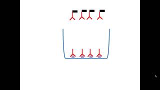 Test Elisa indirect [upl. by Cerellia]