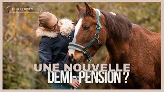 ANNONCE  une nouvelle demi pension  Je vous emmène avec moi aux écuries 🫶🏻 [upl. by Assyle]