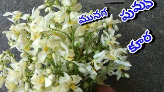 Munaga Puvvu Curry Drumstick Flowers Recipes in telugu Awesome Recipes [upl. by Laehpar]