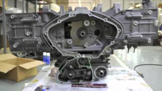 Goldwing Engine Rebuild [upl. by Vivien]