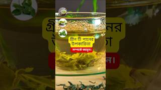 গ্রীন টি এর উপকারিতা shortsviral healthyeating greentea [upl. by Rashidi]