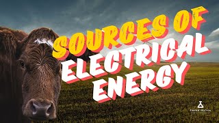 Sources of electrical energy [upl. by Sldney123]