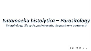 Entamoeba histolytica  Parasitology [upl. by Cece499]