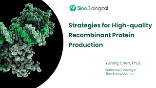 Strategies for Highquality Recombinant Protein Production [upl. by Autumn132]