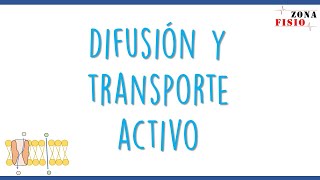 FISIOLOGÍA DIFUSIÓN Y TRANSPORTE ACTIVO [upl. by Kendrah370]