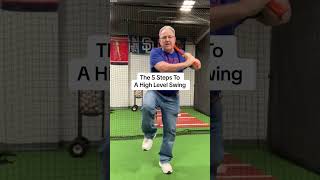 The 5 Steps To A High Level Baseball Swing [upl. by Bertold]