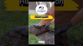 Decopertare rulare si montaj gazon rulou amenajarigradini gazon landscaping calitate lawn [upl. by Routh]