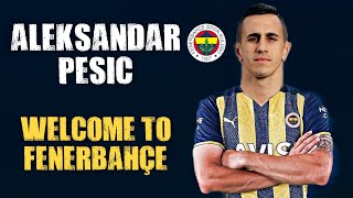 Aleksandar Pesic Welcome To Fenerbahçe  Amazing Skills amp Goals  HD [upl. by Ahtela585]