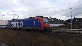 Bahnhof Bickenbach  Bergstraße 🚇 Nachmittag 📹 3122024 [upl. by Jaycee]