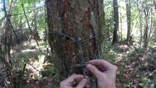 how to use whoopie slings for the BEST survival hammock suspension [upl. by Angie]