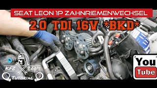 Seat Leon 1P 20 TDI BKD Zahnriemenwechsel  Anleitung  Drehmomente  Timing Belt [upl. by Oznarol46]