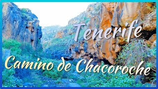 Camino de Chacoroche Tijoco Guía de Isora Tenerife Islas Canarias [upl. by Greenfield221]