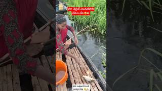 మా చెల్లితో మొదటిసారి చేపల వేటfishing fishingvideo fishinglifefishingvlogs ytshorts ytshorts [upl. by Schertz]