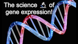 What is epigenetics [upl. by Karlen14]