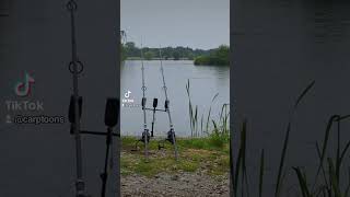 BADEN HALL THE QUARRY CARP FISHING fishing carpangler carpfish carpfishing bigcarp carpangling [upl. by Munafo]