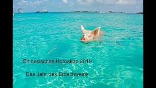 Chinesisches Horoskop 2019  Das Jahr des Erdschweins [upl. by Worra]