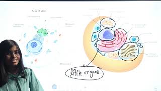 Endoplasmic Reticulum  Cell  Structure and Function  Biology Class 9  RN Glory [upl. by Eelamme]