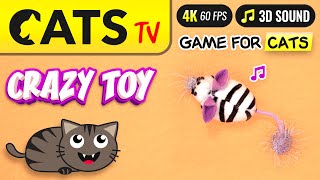 GAME FOR CATS 😻 Real crazy mouse 🐭 3D Sound 🎶🔔 CATS TV [upl. by Ji221]