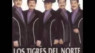 Me dicen perseverante  Los Tigres del Norte [upl. by Anh]