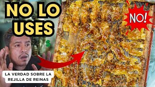 Por Qué NO Uso la Rejilla Excluidora de Reinas ¡Descubre la Razón 🐝 [upl. by Aihtebat]