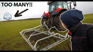 CHAIN HARROWING IN JANUARY NEW FENCE [upl. by Aitnas]