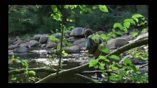 ORVIS  Fly Fishing Lessons  How To Read A Trout Stream Pt1 [upl. by Ynatirb342]