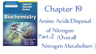 Ubiquitin proteasome proteolytic pathway Overall nitrogen metabolism part2 chapter 19 Lippincott [upl. by Eanar]